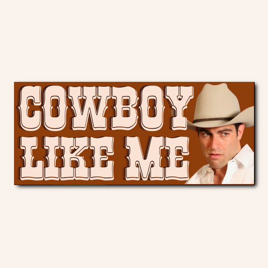 Cowboy Shmidty Bumper Sticker!
