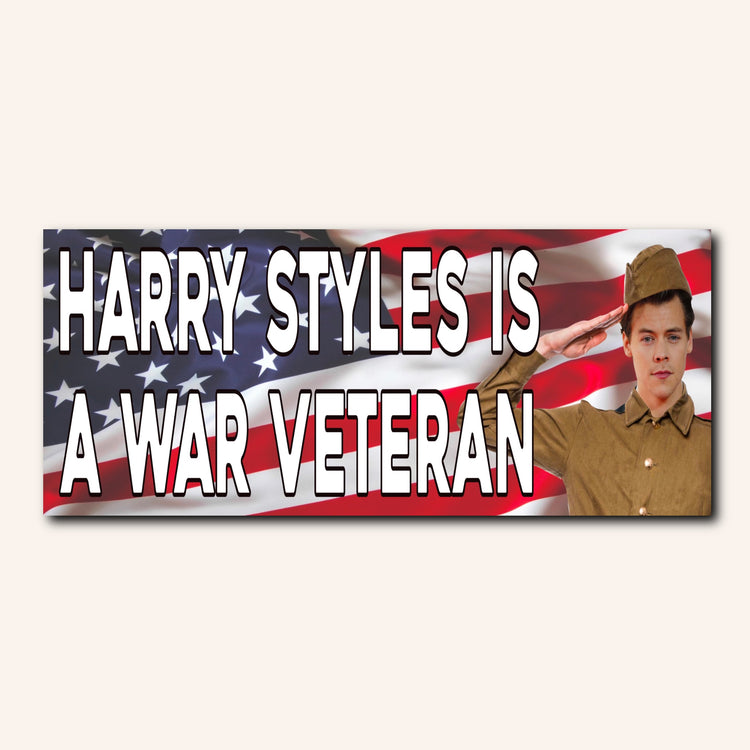 HS is a War Veteran Bumper Sticker & Car Magnet