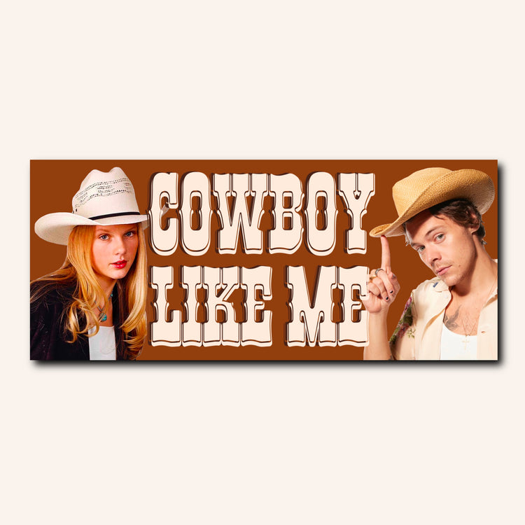 Cowboy like me Bumper Sticker & Car Magnet