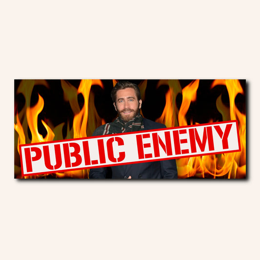 Public Enemy Bumper Sticker